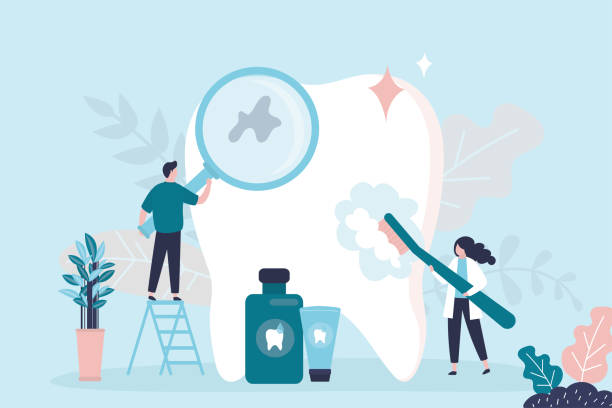 Why Choose Us for Your Dental Needs in Lake Lorraine, FL